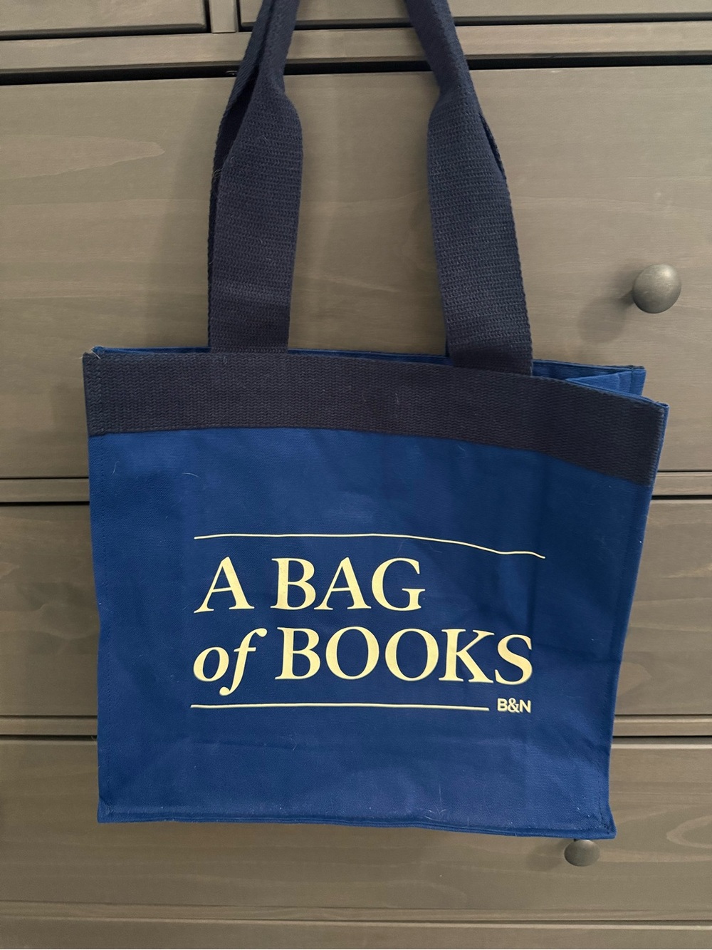 Barnes & Noble Navy 'A Bag of Books' Canvas Tote